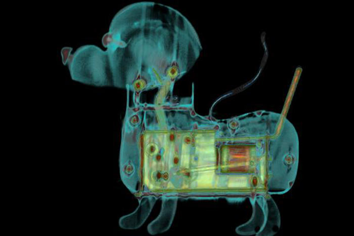 Radyoloji ile ilgili 100 (yüz) Latince Kelime Nedir Ne Demek Nasıl