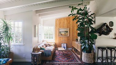Decorar con plantas de interior muy grandes