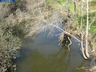 Rio Caia (Baldio), Zonas de Pesca de Castelo de Vide / Portalegre (Alto Alentejo), Portugal (Fish / Pesca)