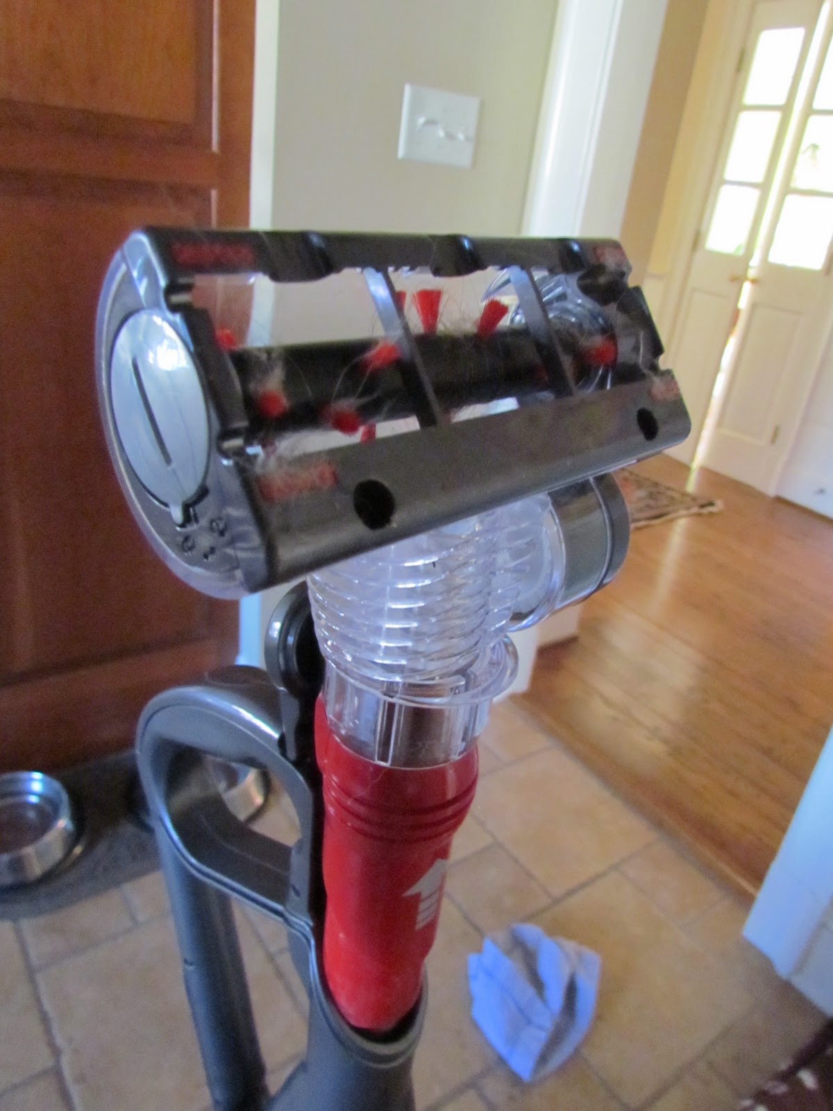 How well does your vacuum work? Dyson Pet Brand Staying Close To Home