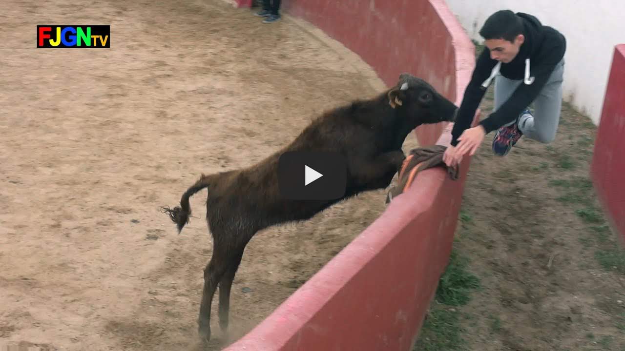 Capea cumple Rafa 2018 - La Espuela (Alcora - Castellon) Capea cumple Rafa 2018 - La Espuela (Alcora - Castellon)