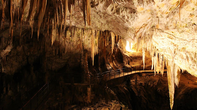 Les grottes de Postojna