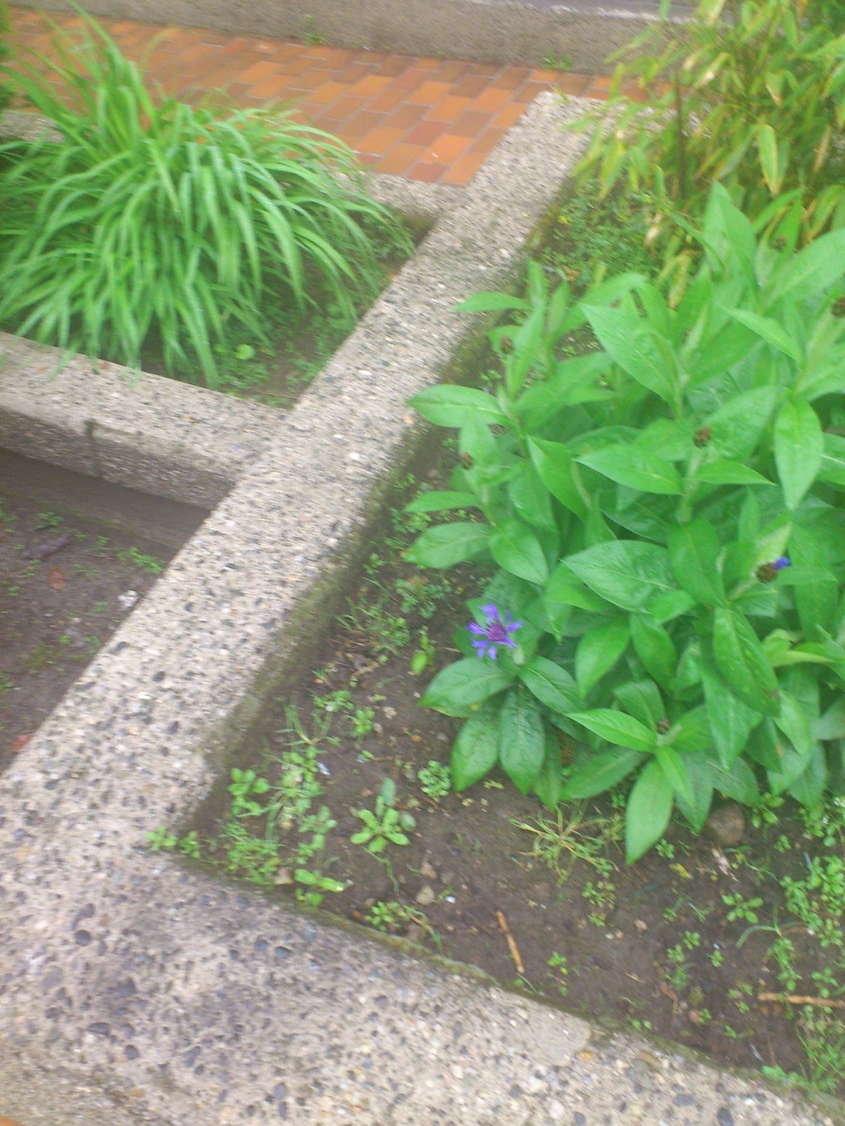 Vancouver Voyager John Foster McCreight