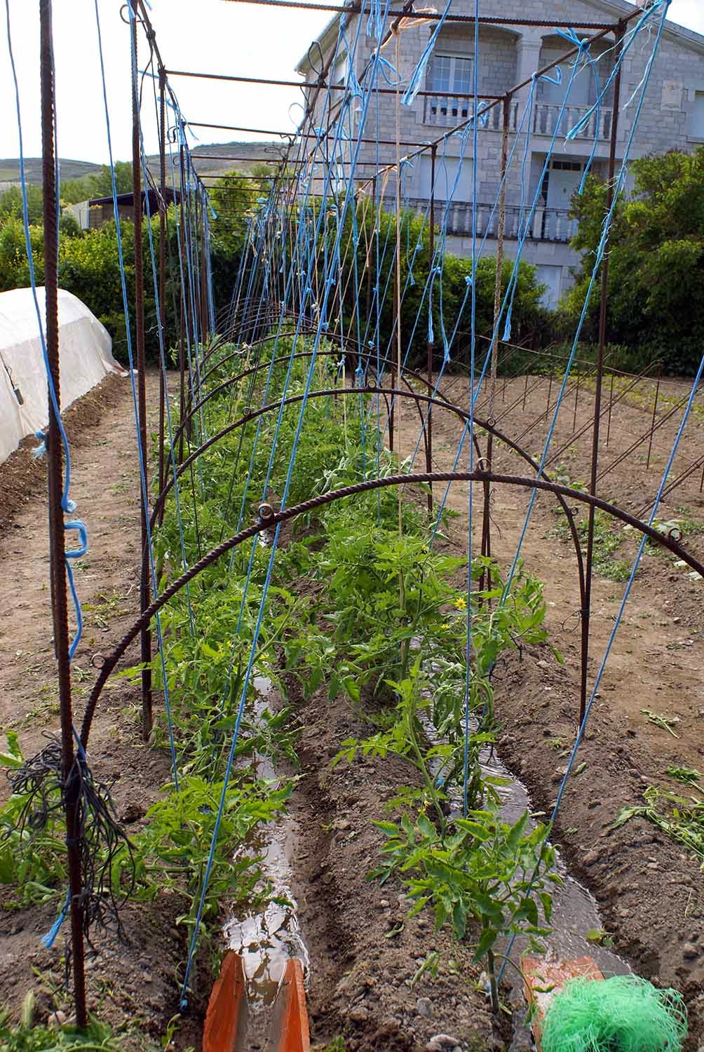 Vida natural en Hormaza: mayo 2014