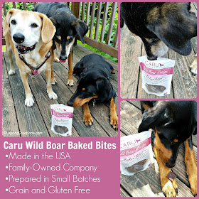 rescue dogs caru wild boar treats