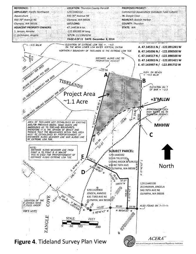 Protect Our Shoreline News Geoduck Farming Can anyone do it? Thurston