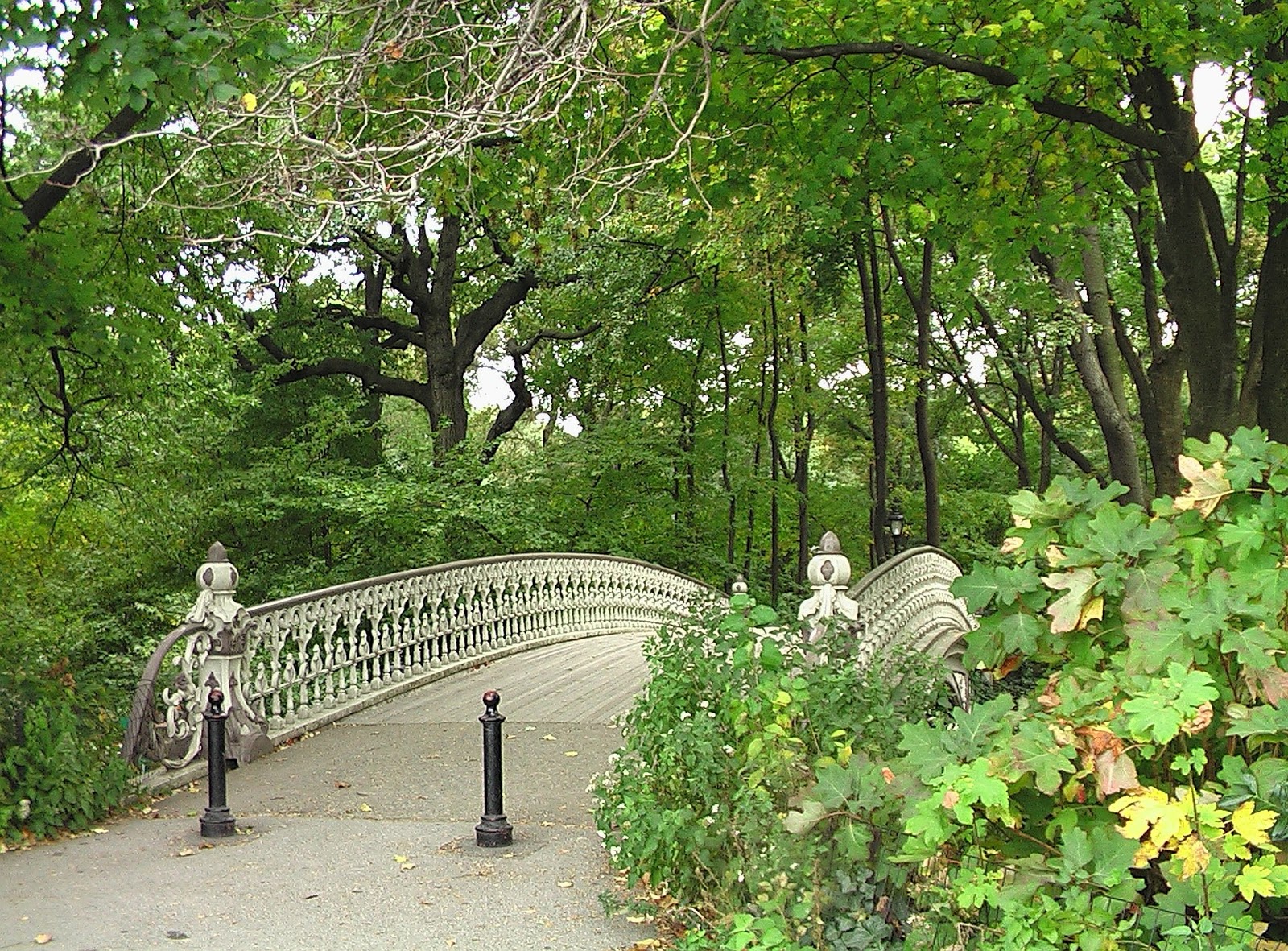 Central Park New york city USA