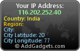 AddGadgets IP Address Widget