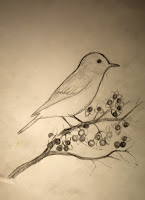 Bluebird Sketch Bluebird Sketch
