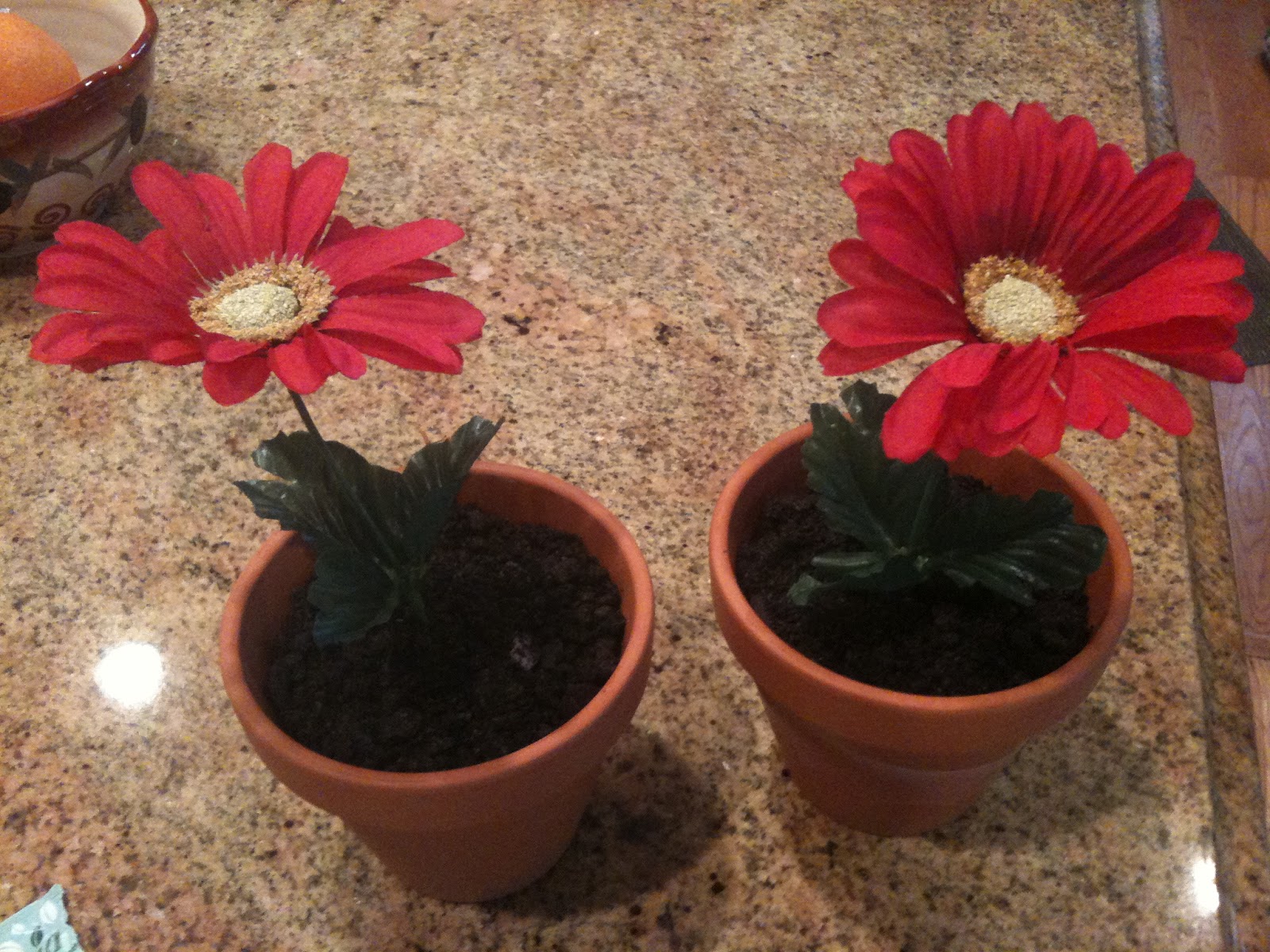 Endless Frontier Monday Munchies Flower Pot Dessert