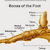 Body Map - Feet First