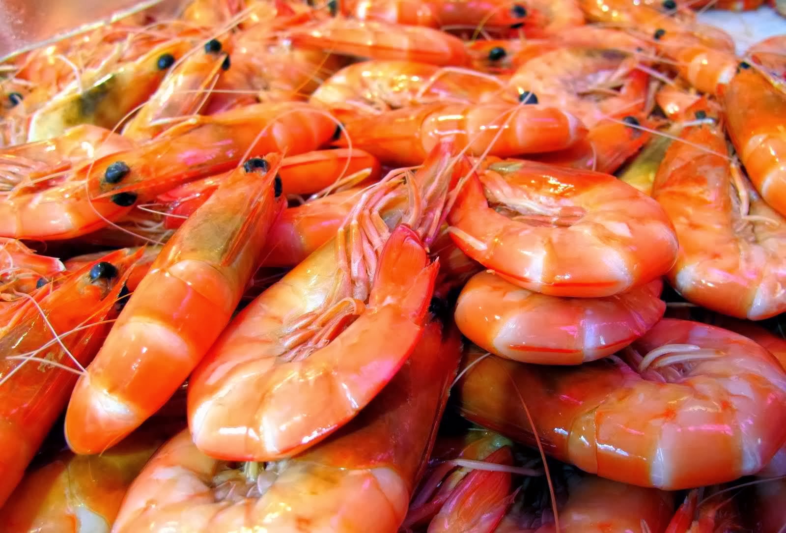 Good Food Seafood Recipes Good Food Seafood Recipes