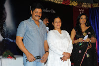 Three Audio Launch Gallery [Andhrula Music]