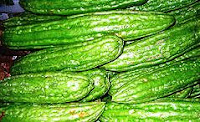 peria katak , Momordica Charantia
