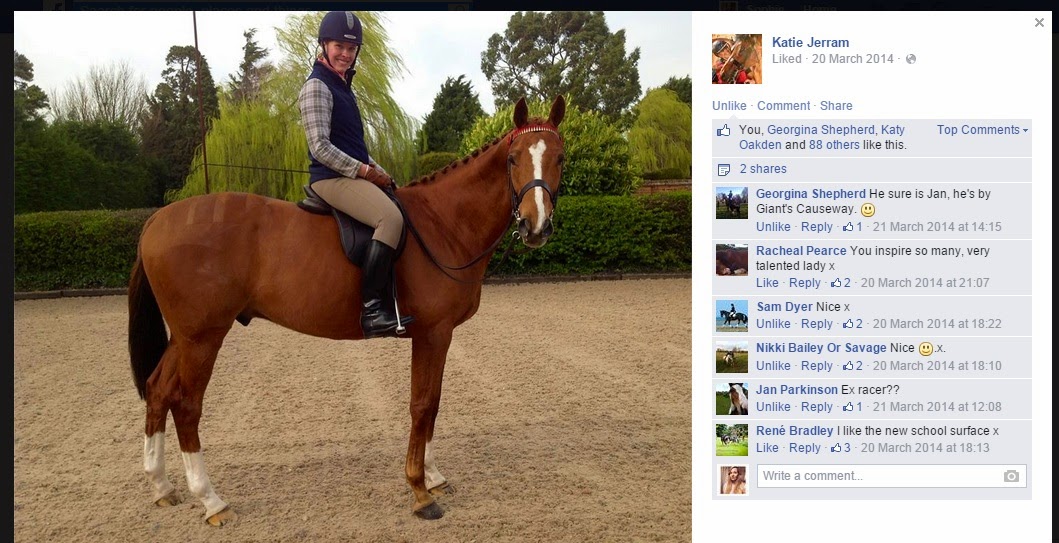 The Adventures of an Amateur Equestrian Katie Jerram R picture