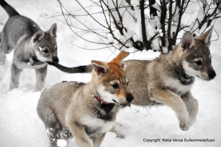 GIOCHI LUDICI CON LA NEVE