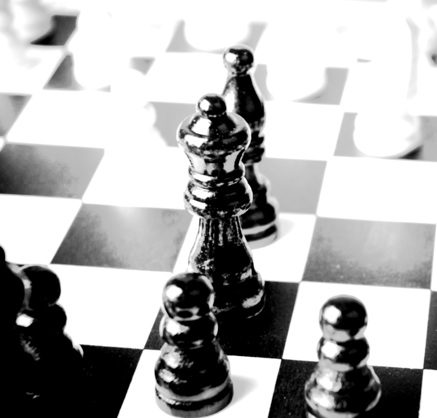 Order From Chaos The Perfect Game