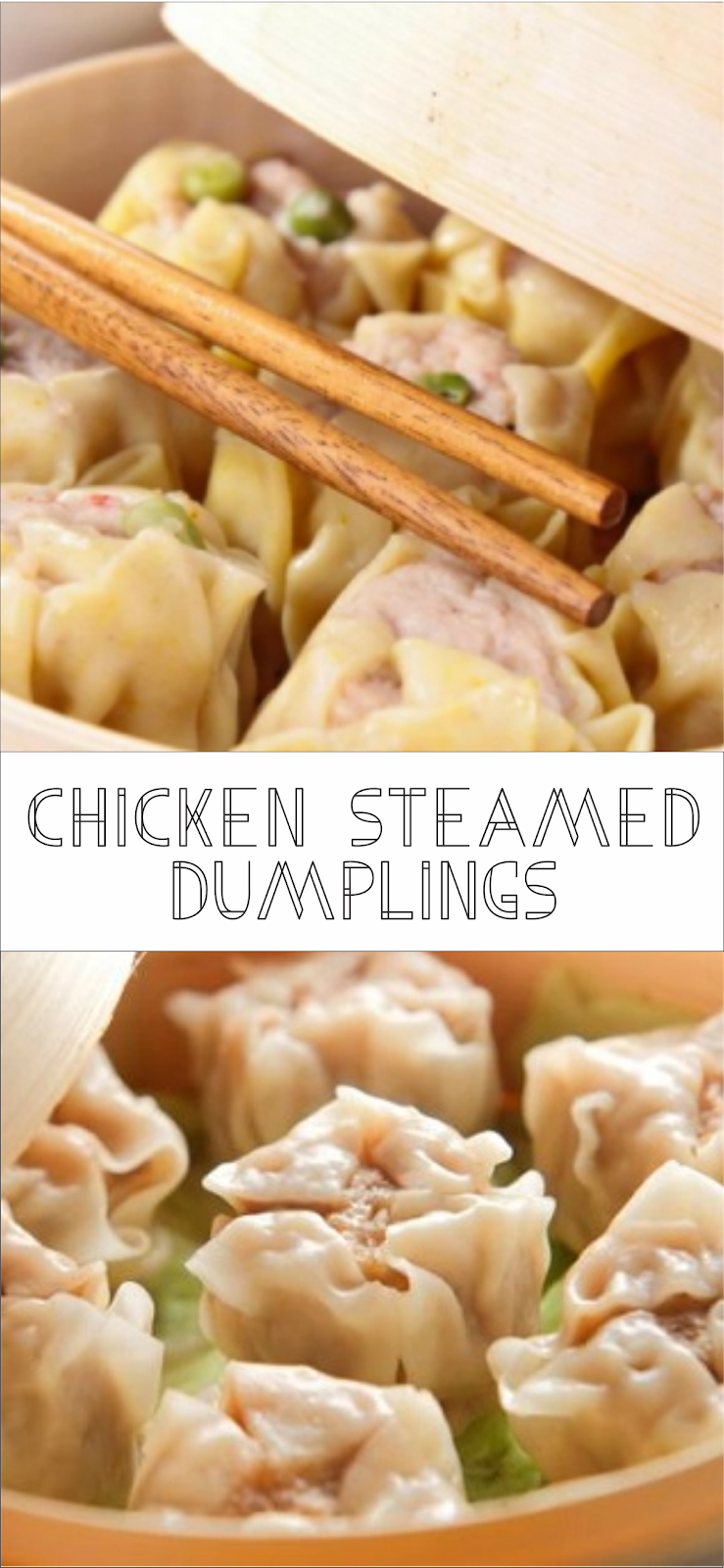 Chicken Steamed Dumplings Floats CO