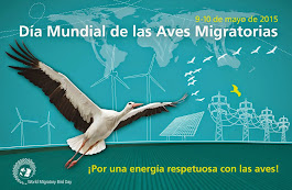 9 -10 de mayo - Día Mundial de las Aves Migratorias