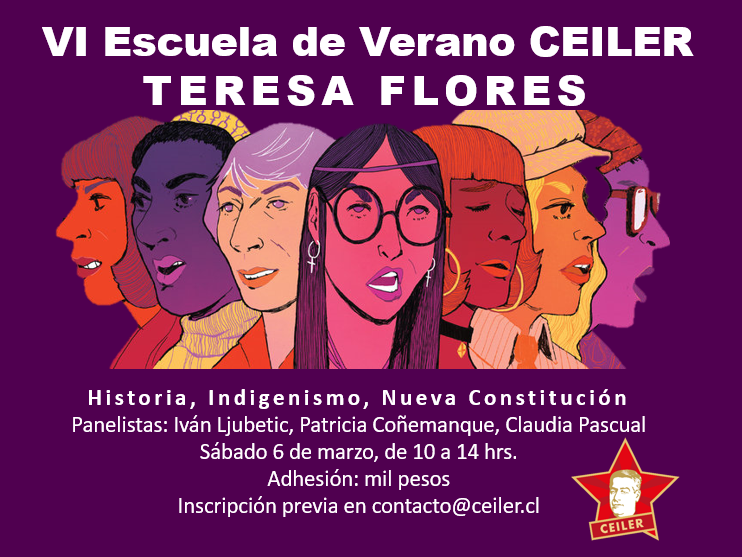VI ESCUELA DE VERANO CEILER. TERESA FLORES