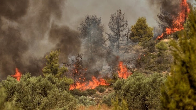 Φωτιά στα Κύθηρα σε δασική έκταση - 3 ελικόπτερα συμμετέχουν στην κατασβεση