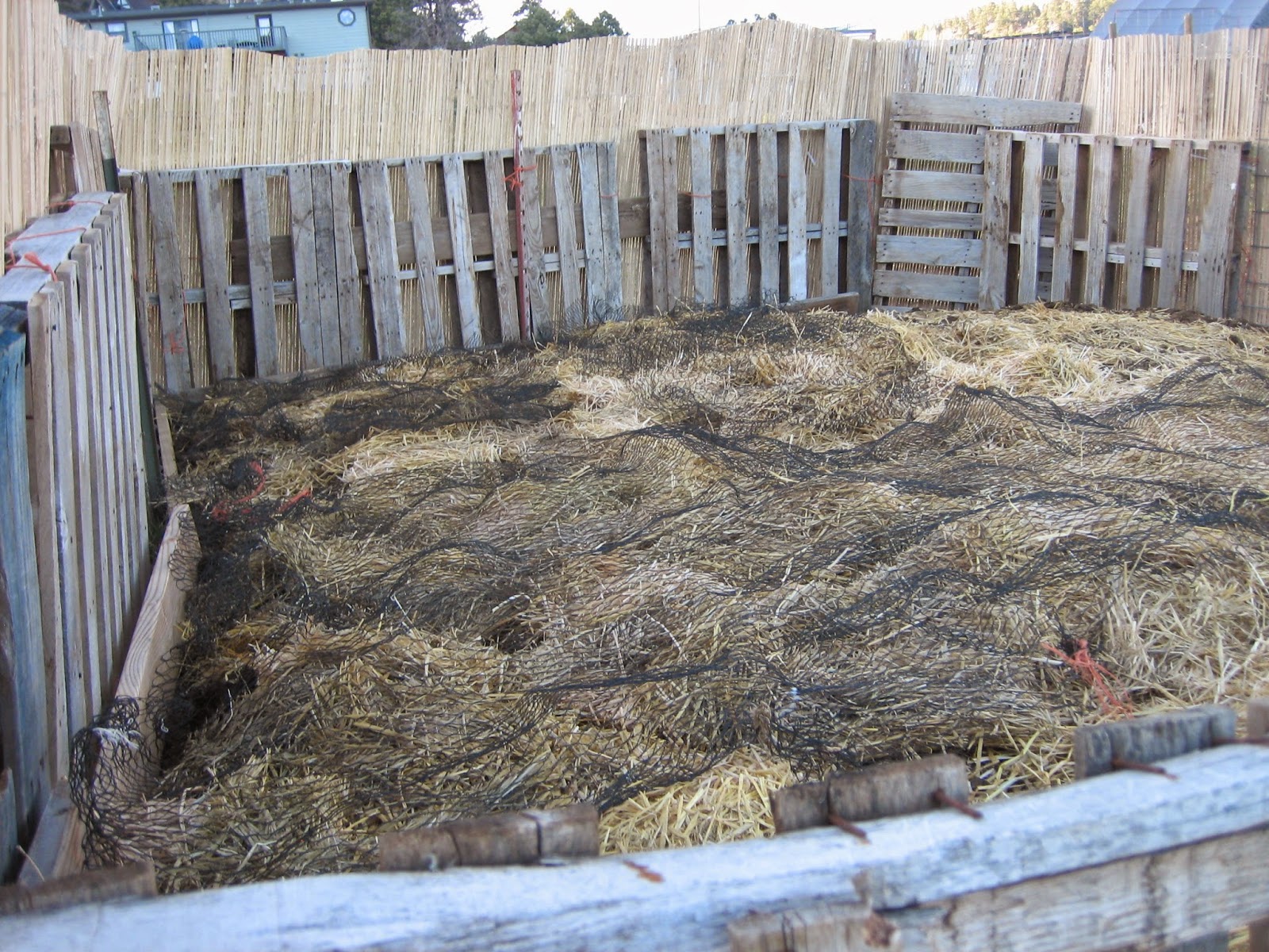 Westfarm Goats Raised bed compost garden