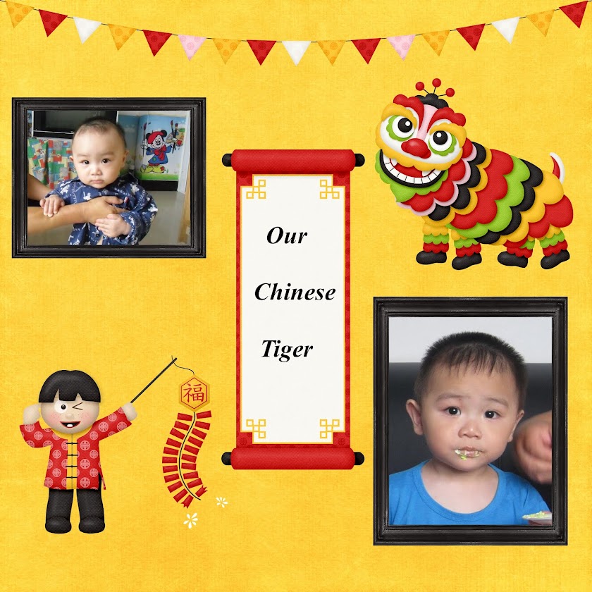 Our Chinese Tiger