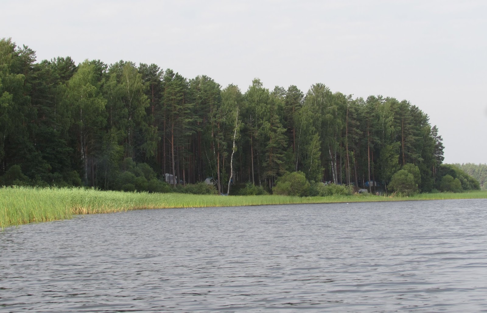 Озеро Велино Гдовский район