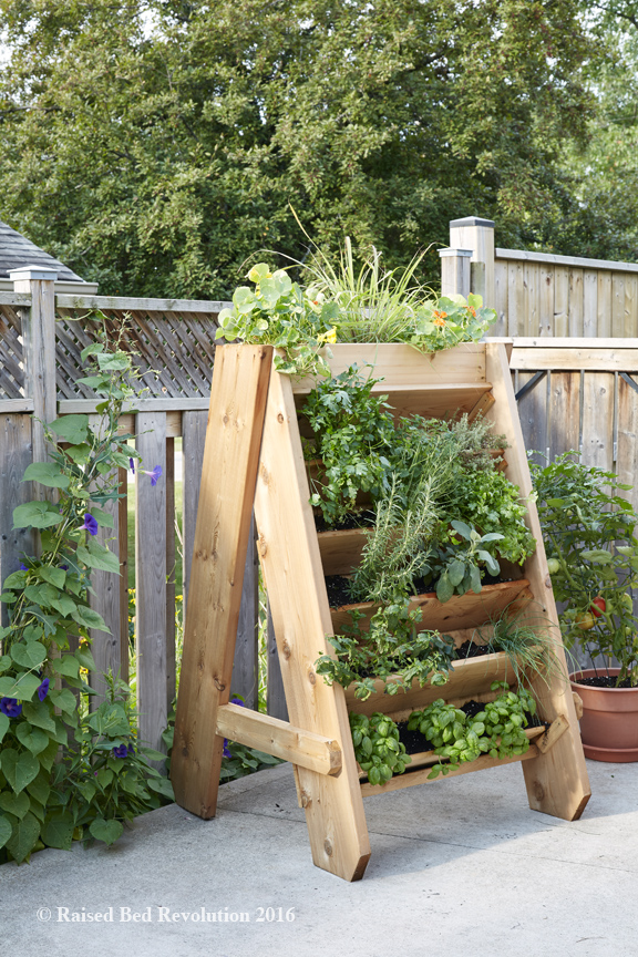 Three Dogs in a Garden: Book Review & Giveaway: Raised Bed Revolution