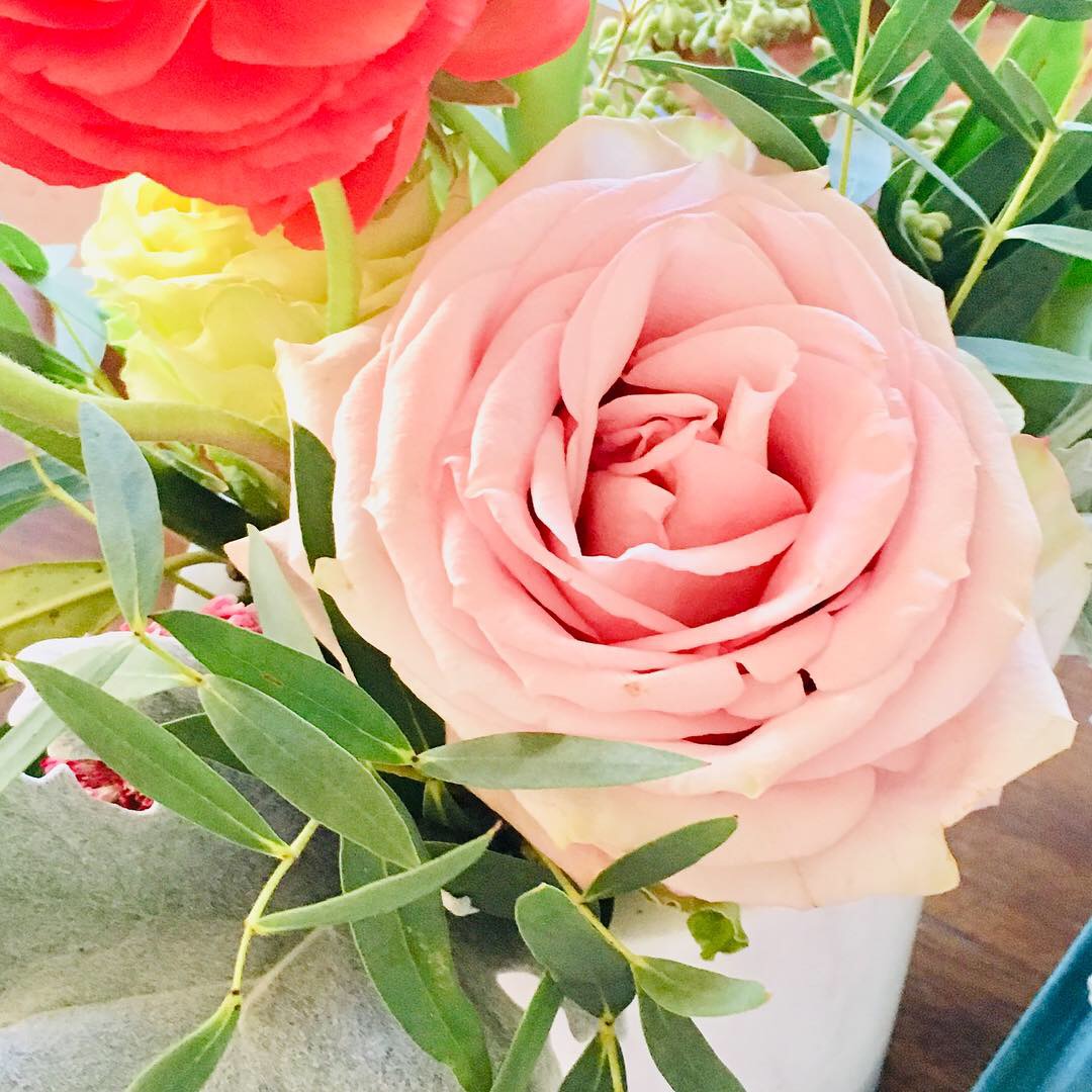 The Bookish Dilettante Virtual Flowers for a Blog Friend...PLEASE READ!!!