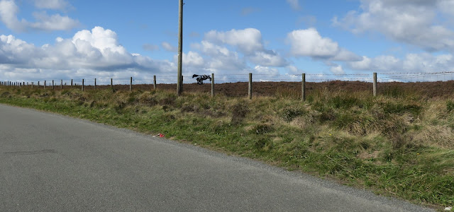 Black plastic caught on barbed wire on hill top road.