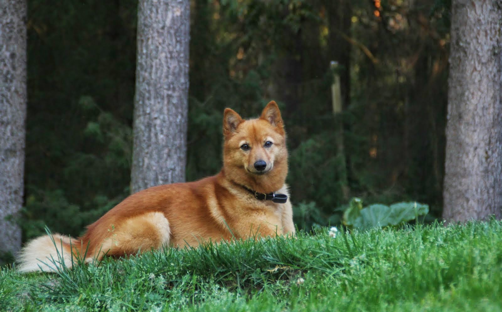 Tervetuloa myös Taajamafarmille!