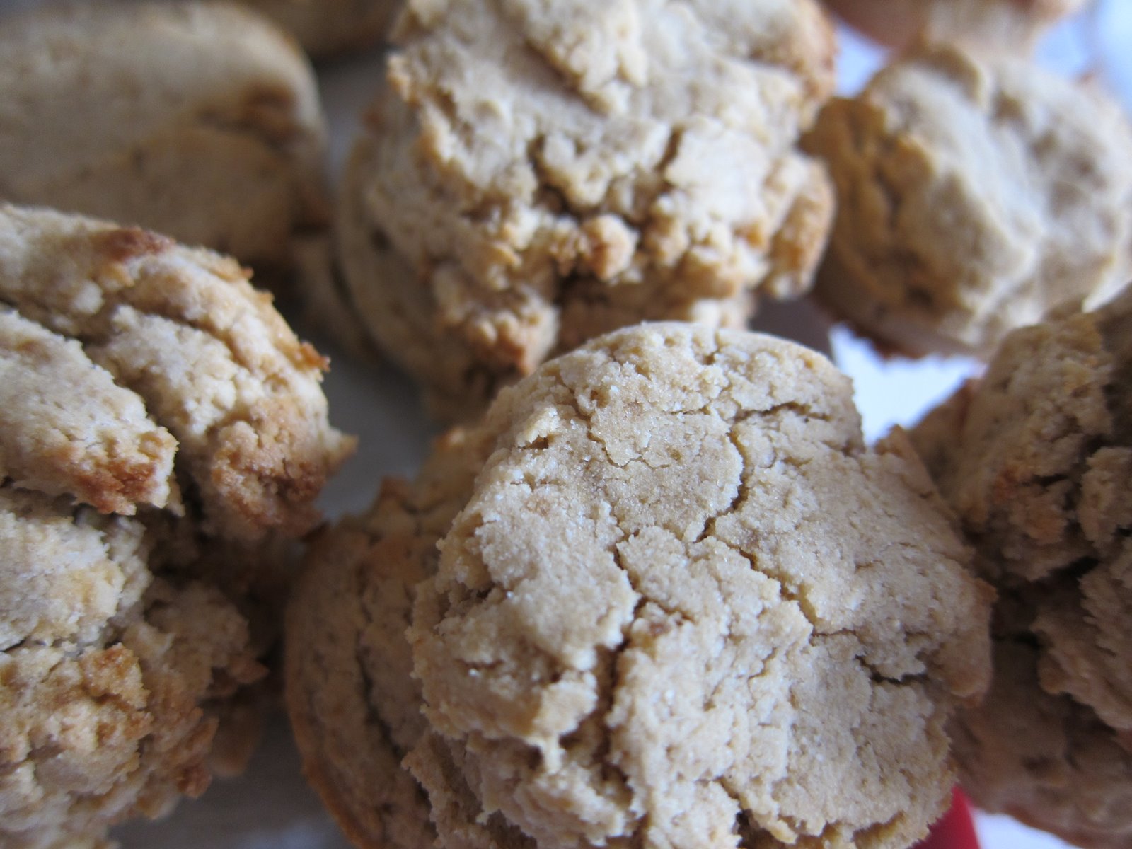 WholeFoodVegan Brown Rice Sugar Cookies