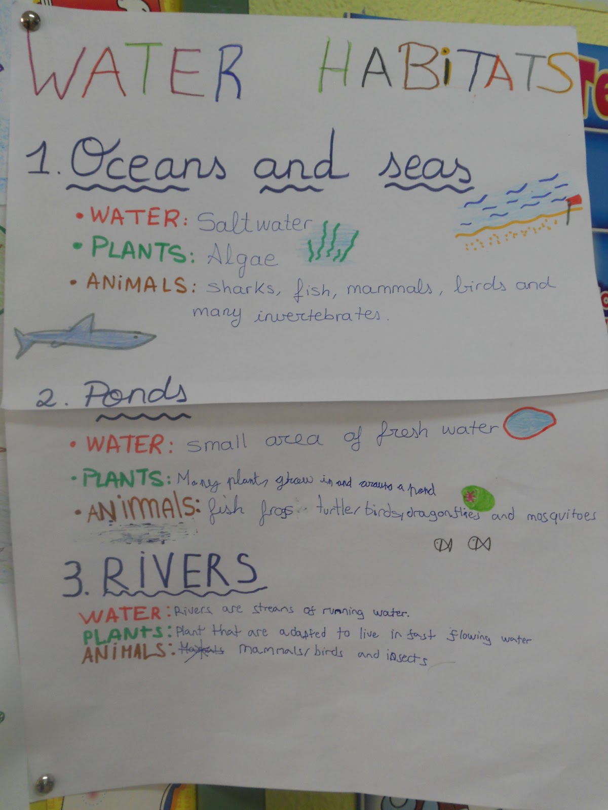 OUR ENGLISH CORNER HOW MANY TYPES OF HABITATS ARE THERE, 4TH GRADERS