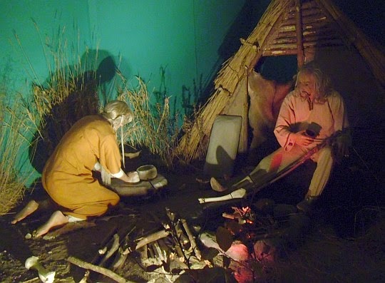 Muzeum Przyrodnicze Wolińskiego Parku Narodowego w Międzyzdrojach.