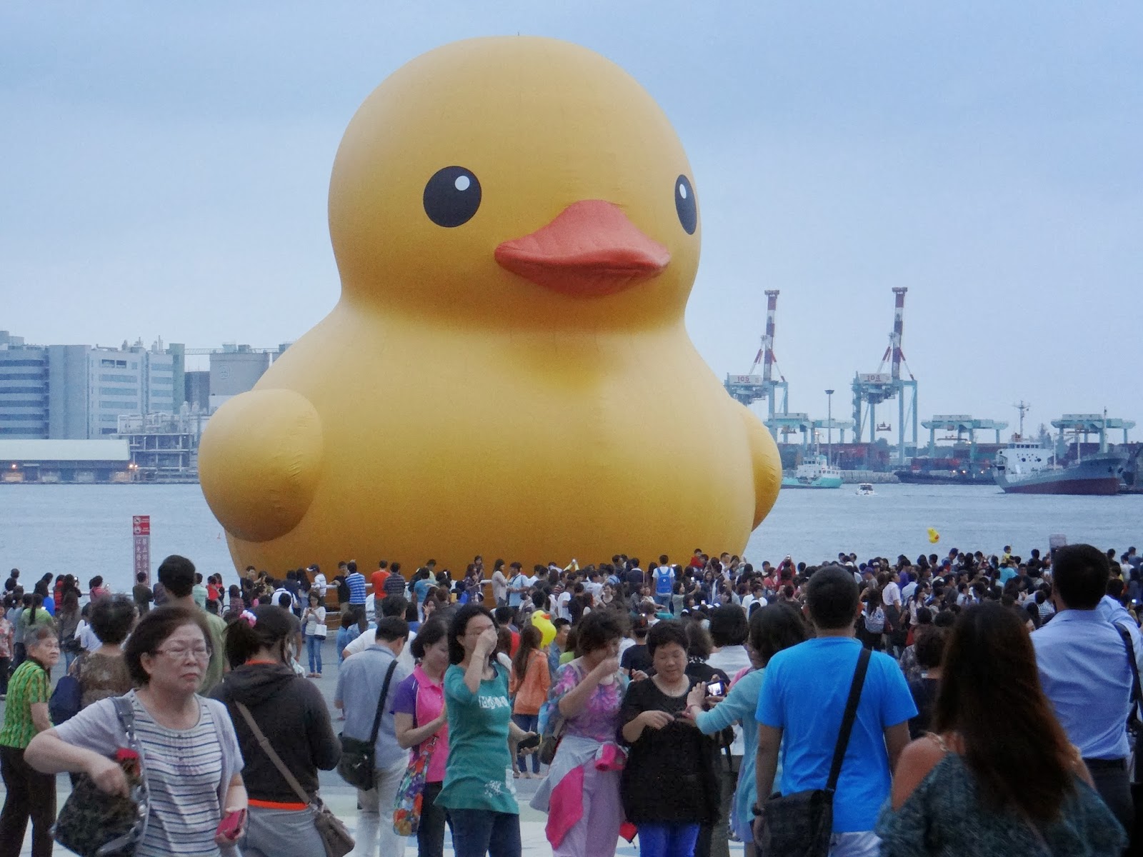 thericechronicles: Rubber Duck Crazy
