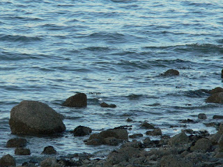 irish sea copyright kerry dexter