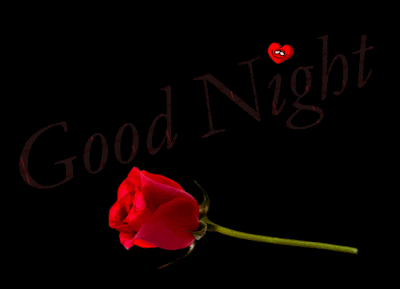 Good Night Giphy Good Night Giphy with red rose flower