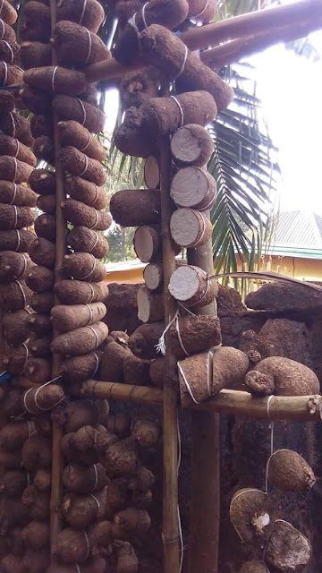 FB IMG 1518328006885 Wickedness! Unknown person destroys yams in a man's barn in Anambra State