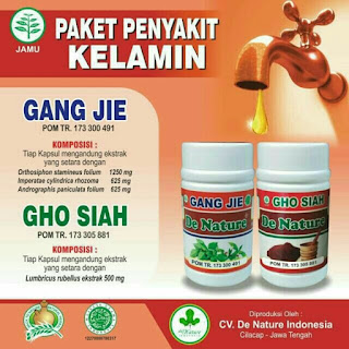 Detail Obat Sipilis De Nature Kapsul Gang Jie Dan Gho Siah