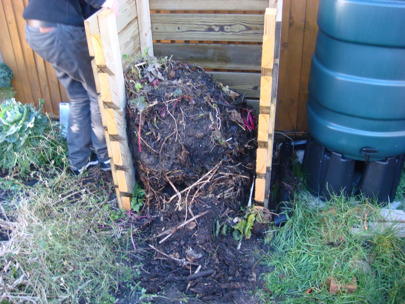 Veg patch from scratch How to make your own wooden compost bin (with