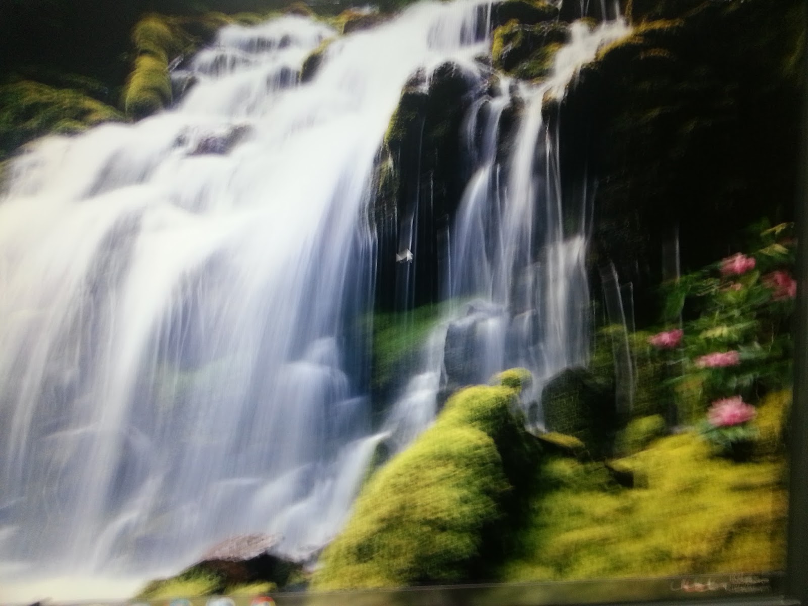 اسماء انهار واشجار الجنة سبحان الله العظيم اخبار تحيا مصر