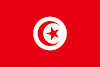 Logo Gambar Bendera Negara Tunisia PNG JPG ukuran 100 px