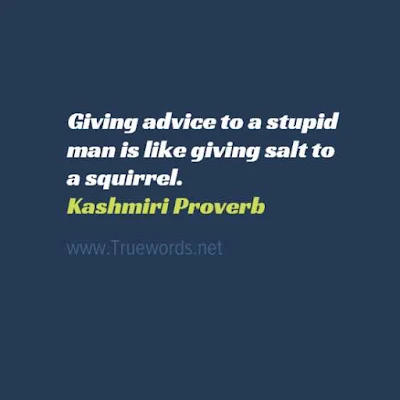 Giving advice to a stupid man is like giving salt to a squirrel
