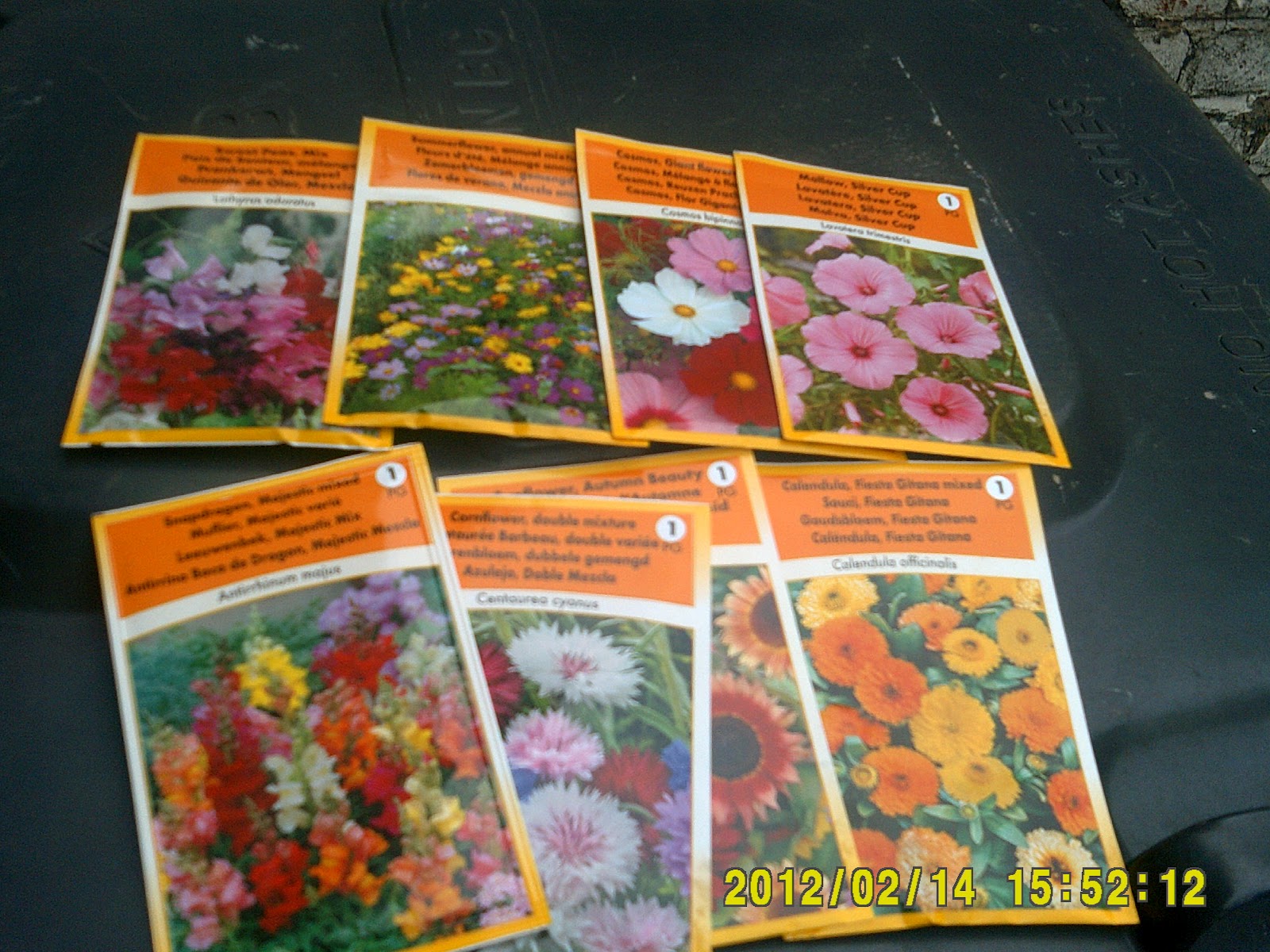 Allotment 2011 LIDL flowers and veg seeds.