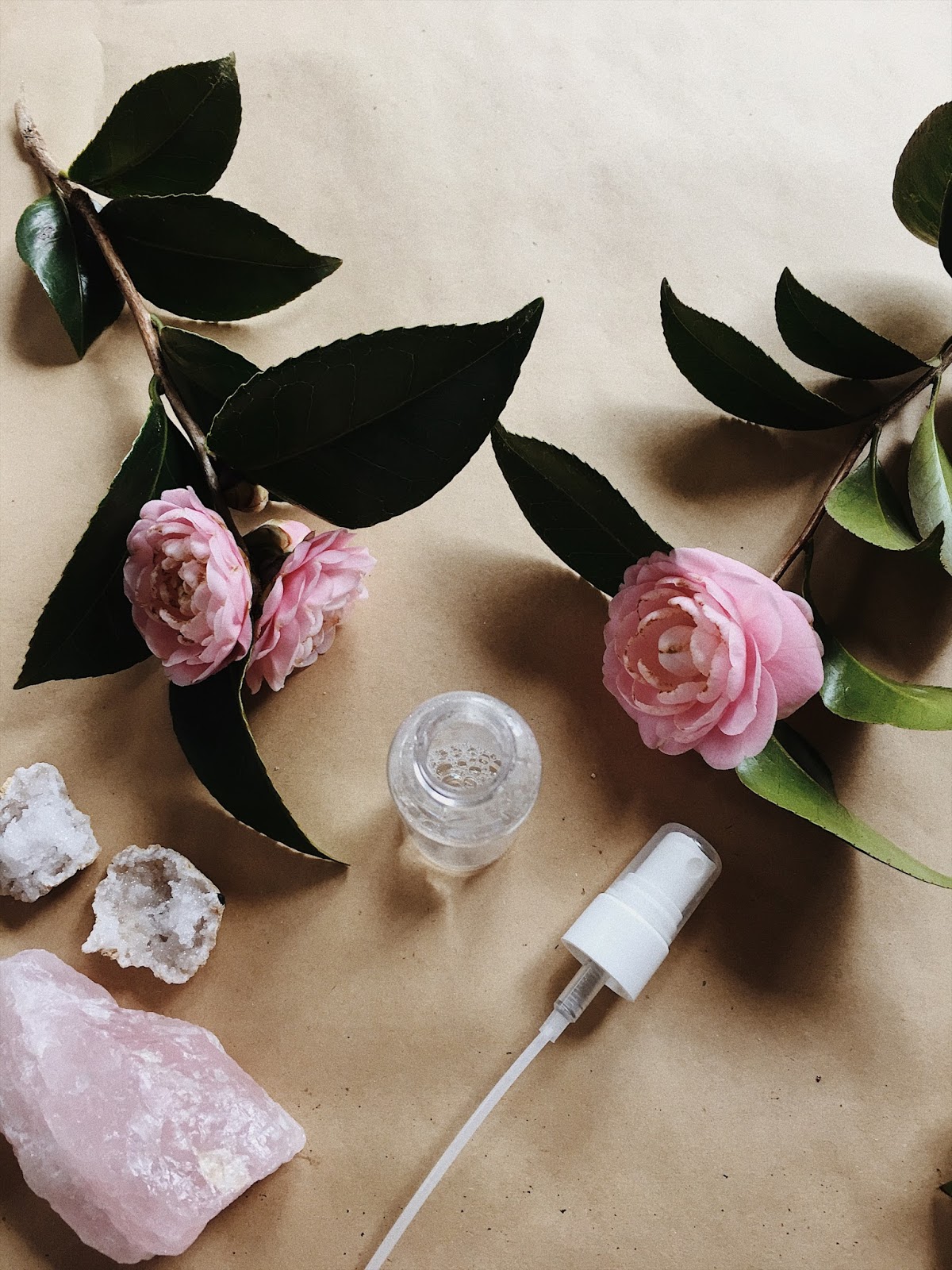 Botanical ⌂ Collective