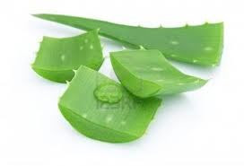 Resep Masker Penghilang Komedo Alami Dan Tradisional Yang Ampuh Masker Penghilang Komedo Alami