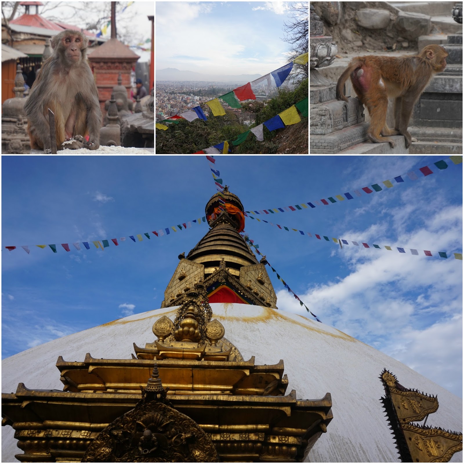 Moneky Temple Katmandu