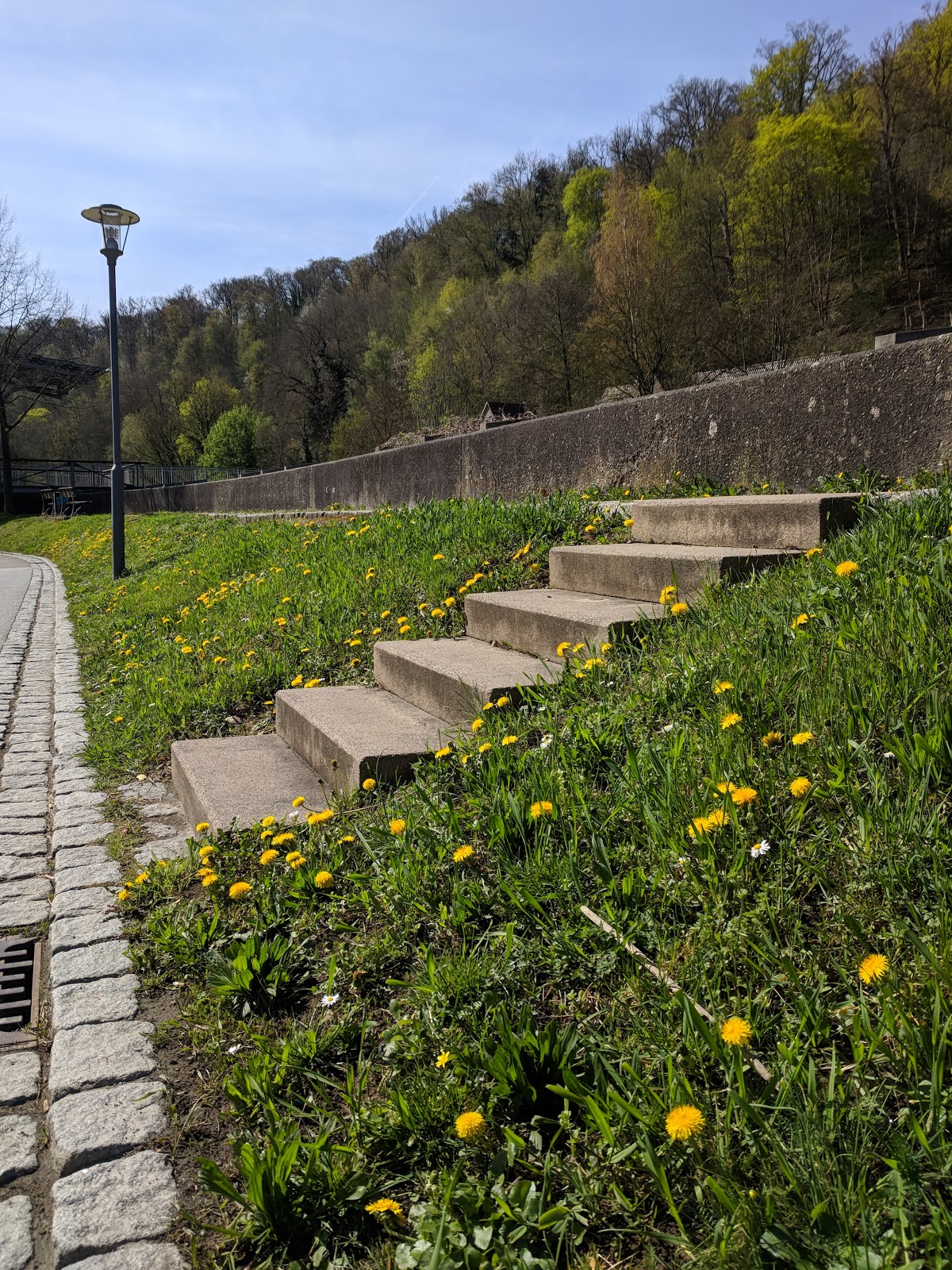 Stempeljunky Der Fruhling Ist Da