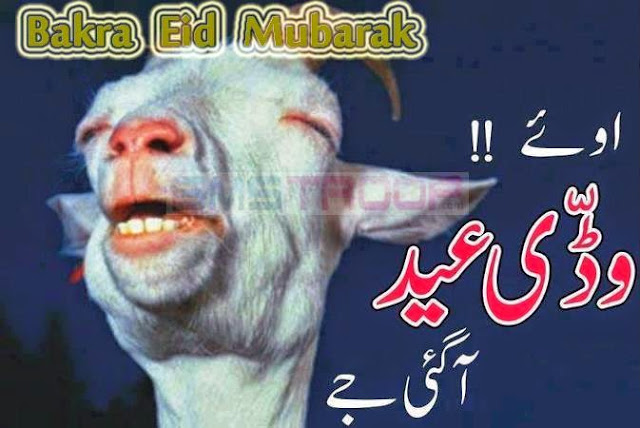 Bakra Eid -ul-Adha Zuha sms message wishes in english Urdu 